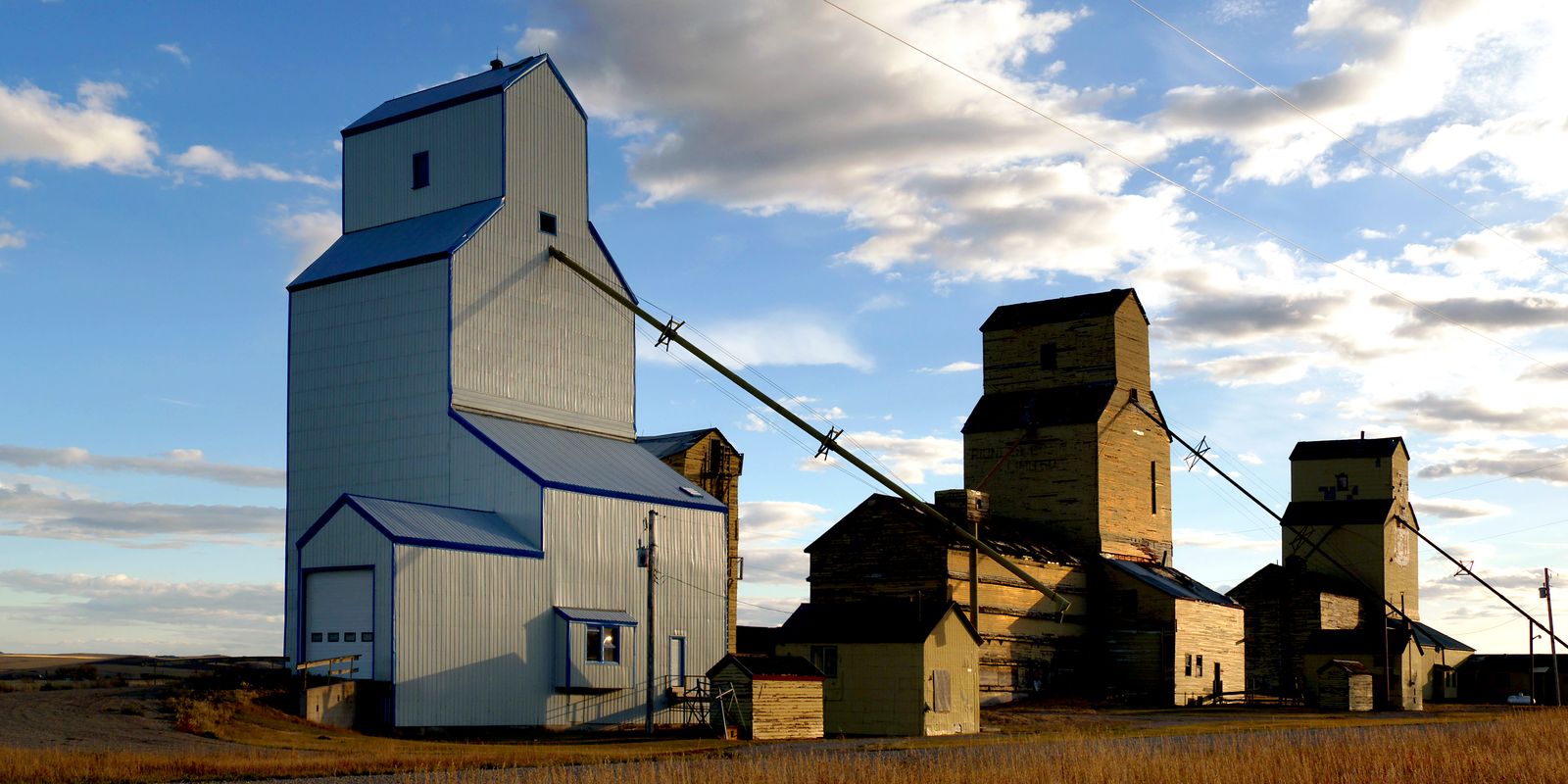 A row of wooden grain elevators on the southern Alberta prairie in late afternoon light.